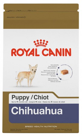 CHIHUAHUA PUPPY 1.13